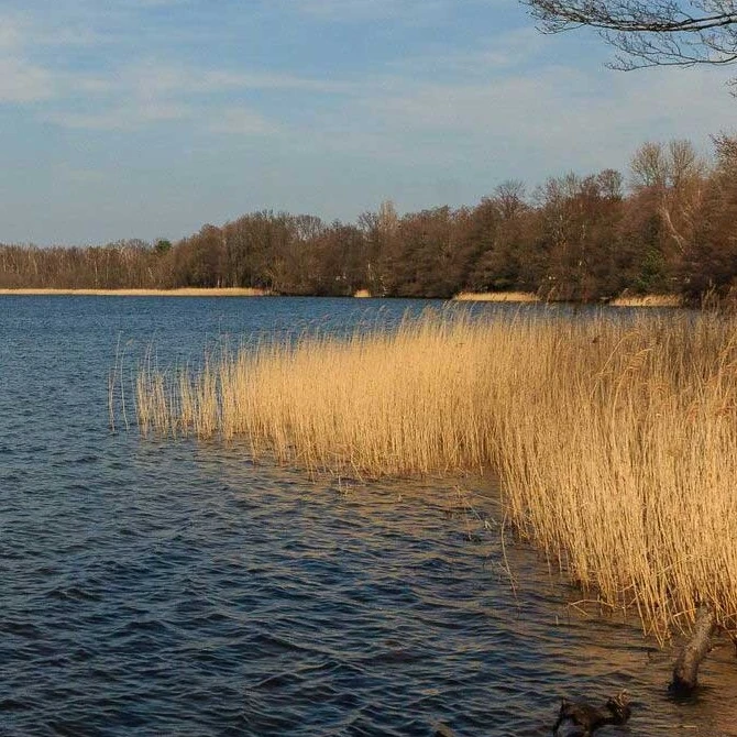 Pätzer Vordersee